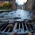 A street drain with water flowing down into it, surrounded by pavement and urban scenery.